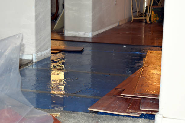 Professional Sewage Cleanup technician working in Alhambra, IL